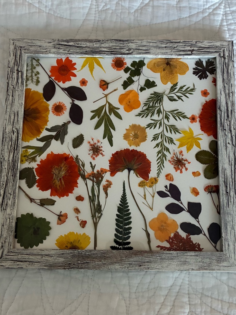 Framed Pressed Flower Wall Art Handmade